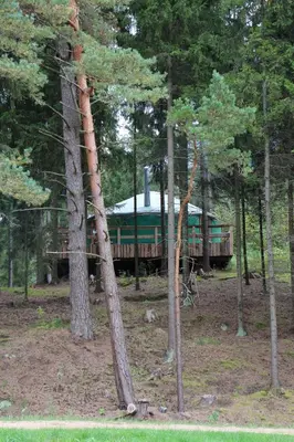 a train traveling through a forest with trees at Yurtos in Gaugariai