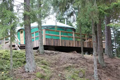 a green rv on a bridge in the woods at Yurtos in Gaugariai