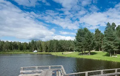 a dock on a lake with trees in the background at Yurtos in Gaugariai