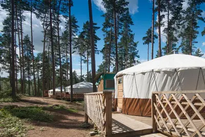 a row of tents in a forest with trees at Yurtos in Gaugariai