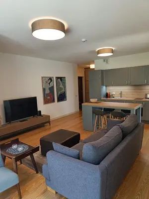 a living room with a couch and a kitchen at Moderniškas ir jaukus butas gamtos apsuptyje in Druskininkai