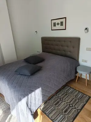 a bed with two pillows on it in a bedroom at Moderniškas ir jaukus butas gamtos apsuptyje in Druskininkai