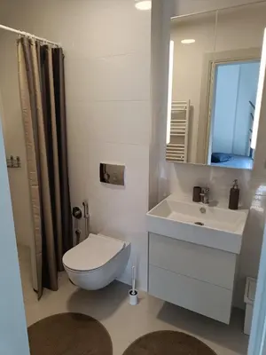 a bathroom with a toilet and a sink and a mirror at Moderniškas ir jaukus butas gamtos apsuptyje in Druskininkai