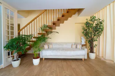 a living room with a couch and potted plants at Cozy house in Vilnius in Vilnius