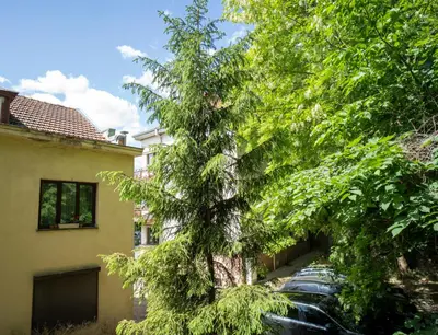 a tree in front of a car parked next to a building at Downhill Apartment with a Private Terrace in Kaunas