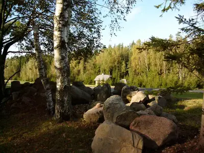 a pile of rocks sitting next to a tree at Miškiniškės in Ignalina