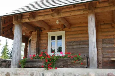 a log cabin with a window and flowers in a window box at Miškiniškės in Ignalina