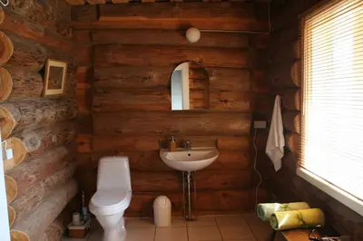 a bathroom with a toilet and a sink in a log cabin at Miškiniškės in Ignalina