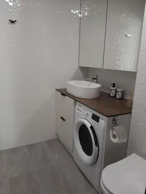 a bathroom with a washing machine and a sink at Visinskio apartamentai in Šiauliai