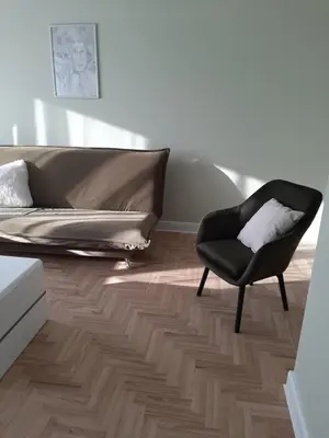 a living room with a couch and a chair at Visinskio apartamentai in Šiauliai