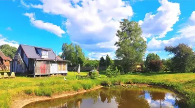 a house in a field next to a pond at DAGNA summer house in Šunupis