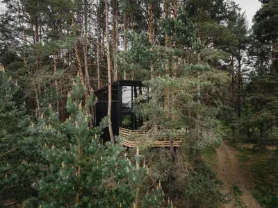a bench sitting in the middle of a forest at Treehouse Virš Bedugnės in Jurbarkas