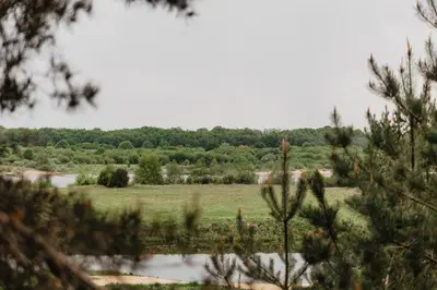 a view of a field from a tree at Treehouse Virš Bedugnės in Jurbarkas