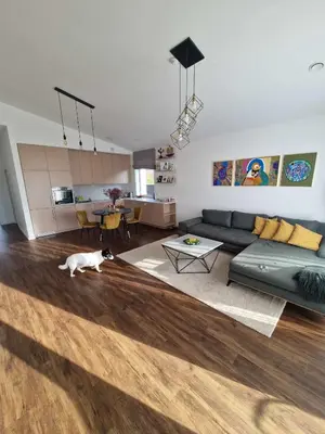 a living room with a couch and a dog in it at Entire House for a company of Friends in Kaunas