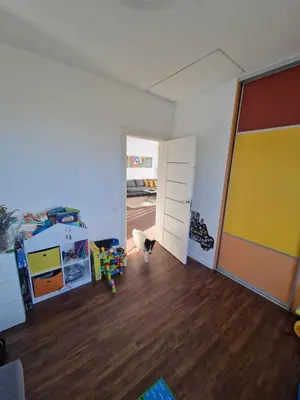 a cat standing in an empty room with a door at Entire House for a company of Friends in Kaunas