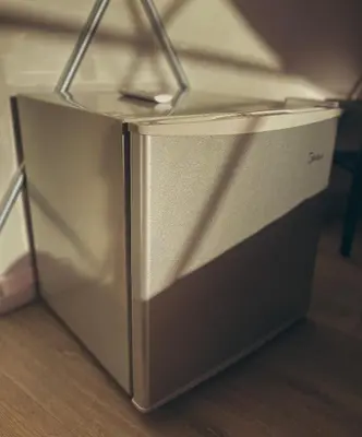 a refrigerator sitting on top of a wooden floor at Greenery Kupolai in Kalveliai
