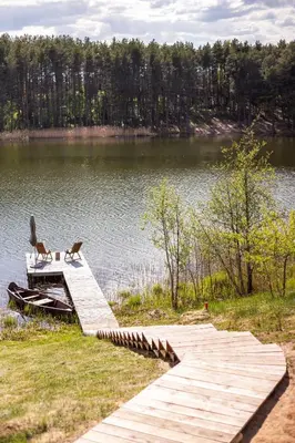 a dog sitting on a dock next to a lake at Pineplace twins NIDA in Žaugėdai