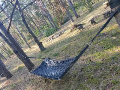 a swing in a field with cows in the background at Sena Troba in Druskininkai