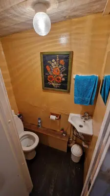 a small bathroom with a toilet and a sink at Sena Troba in Druskininkai