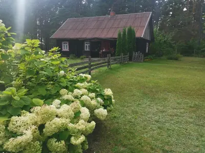 a house with a bunch of flowers in front of it at Sena Troba in Druskininkai
