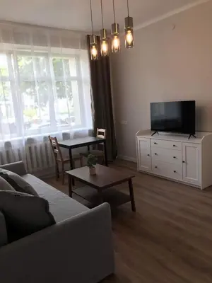 a living room with a couch and a tv and a table at Vytauto Septyni in Zarasai