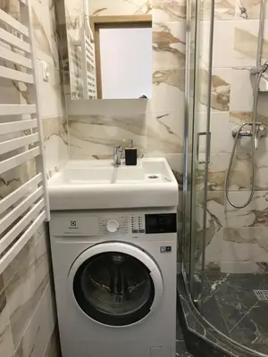 a bathroom with a washing machine and a sink at Vytauto Septyni in Zarasai