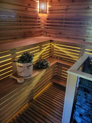 a sauna with a plant in a bucket in it at GREY PINE HOUSE in Druskininkai