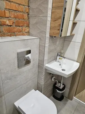 a bathroom with a white sink and a toilet at Kauno apartamentai king size bed in Kaunas