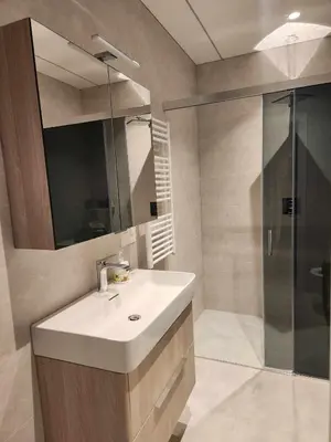 a bathroom with a sink and a shower at Prie Vilneles Apartment in Vilnius