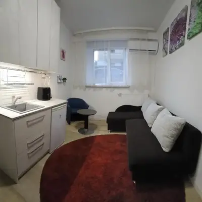 Kauno apartamentai 1 bed room
