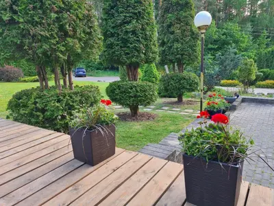 two planters sitting on a wooden table in a park at GREEN HOUSE in Anykščiai