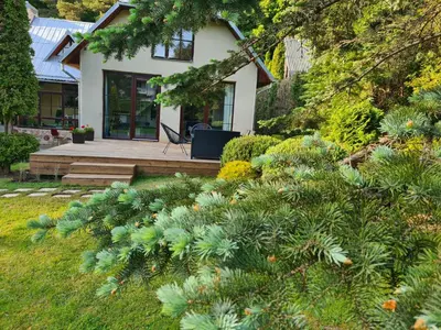 a house with a bunch of plants in the yard at GREEN HOUSE in Anykščiai