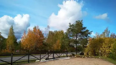 a fence in front of a road with trees at Reed Cottage in Dzenkuniskes