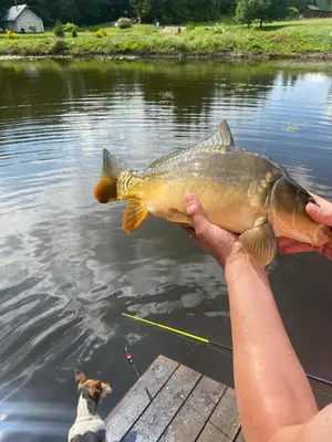 a person holding a fish in a body of water at Reed Cottage in Dzenkuniskes