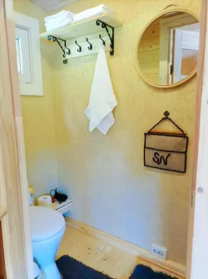 a bathroom with a toilet and a mirror at Reed Cottage in Dzenkuniskes