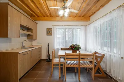 a kitchen with a table and chairs and a ceiling at Villa Green in Molėtai