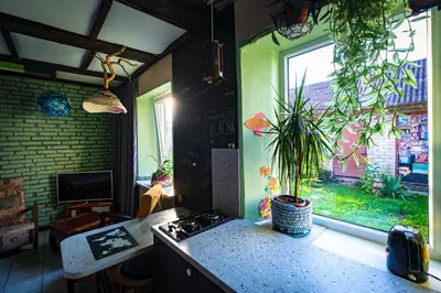 a kitchen with a stove and a window with a plant at Kabina in Pakruojis