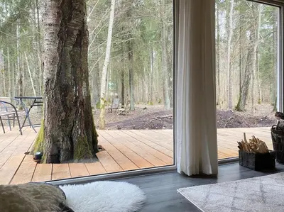 a room with a sliding glass door looking out at a tree at Miško sielos namelis su pirtele in Aukštelkė