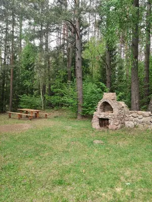 a stone oven in a field with a picnic table at Sodyba Valdo kubilas in Trakai
