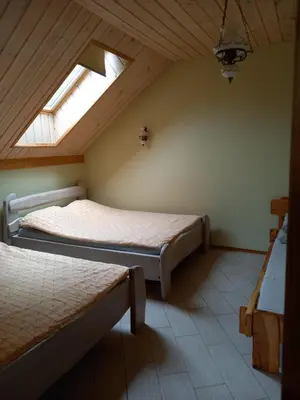 a attic bedroom with two beds and a skylight at My Forest Villa in Vilnius
