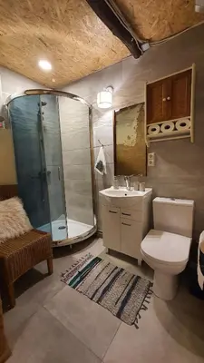 a bathroom with a shower and a toilet and a sink at Authentic homestead over 100 years old in Kėdainiai