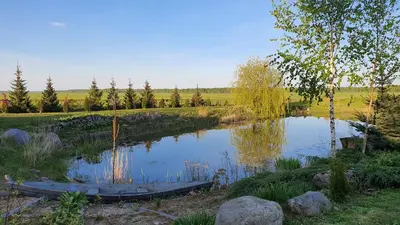 a pond with a boat in the middle of a field at Authentic homestead over 100 years old in Kėdainiai