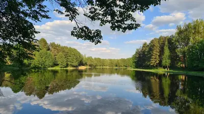 a river with trees and clouds in the water at Apartamentai Luna in Druskininkai