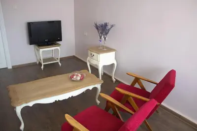 a living room with a table and chairs and a tv at Vakaro Namai in Alytus