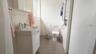 a white bathroom with a sink and a toilet at Vakaro Namai in Alytus