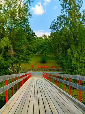 a wooden bridge with a red railing in a park at Obuoliu sala Moletu Vila in Gaylyunay