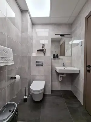 a bathroom with a toilet and a sink at Airus Apartamentai in Anykščiai