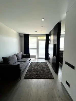a living room with a couch and a rug at J.Kairiūkščio apartamentai in Vilnius