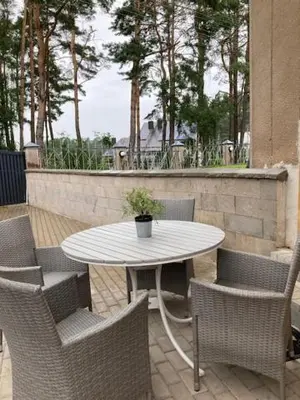 a table and chairs with a potted plant on a patio at Pušyno Apartments-Studio in Anykščiai