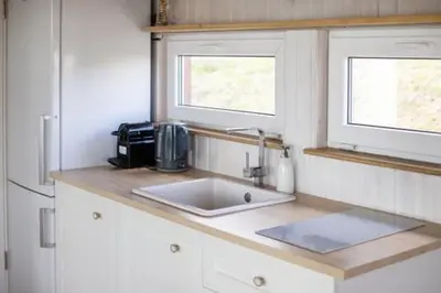 a kitchen counter with a sink and a microwave at Pineplace twins Smilga in Žaugėdai